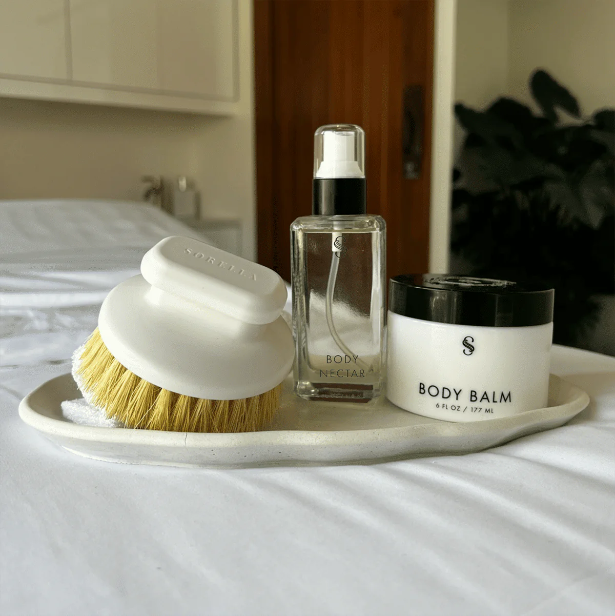 Body Dry Brush - 10 Pack - Image 4