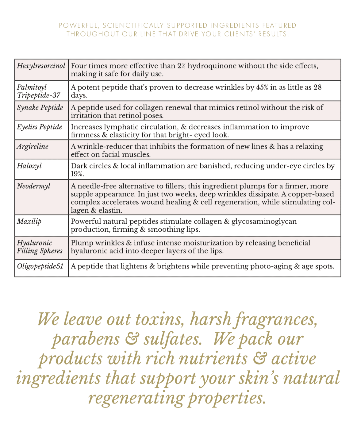 Training Booklet - Image 2